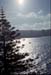 NZ-08-0001