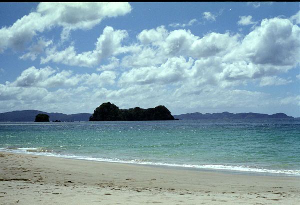 NZ-10-0026