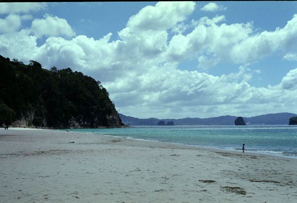 NZ-10-0028