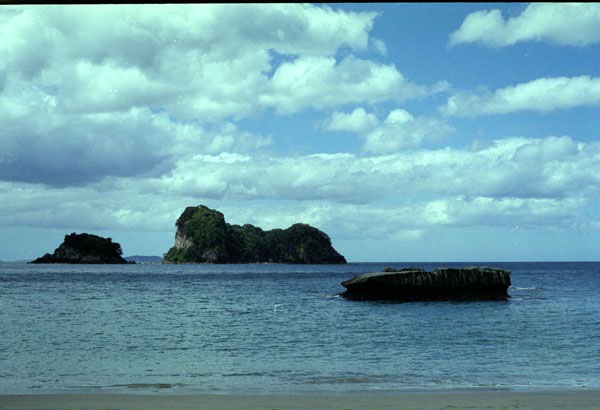 NZ-10-0031
