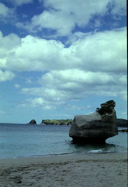 NZ-10-0032