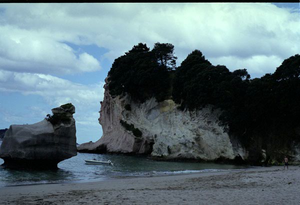 NZ-10-0033