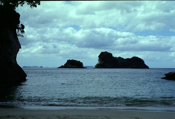 NZ-10-0036