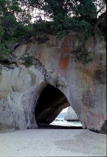NZ-11-0002