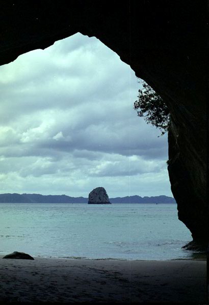 NZ-11-0003