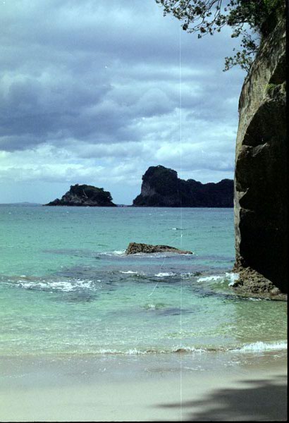 NZ-11-0005