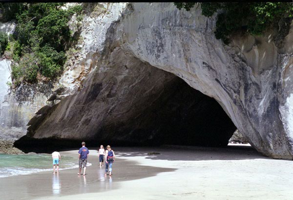 NZ-11-0007