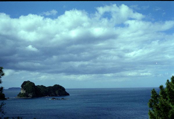 NZ-11-0008