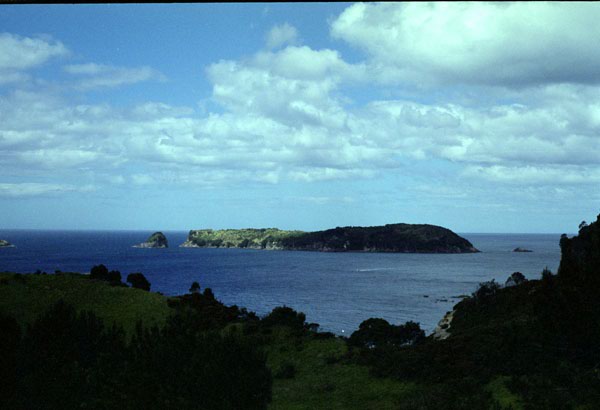 NZ-11-0009