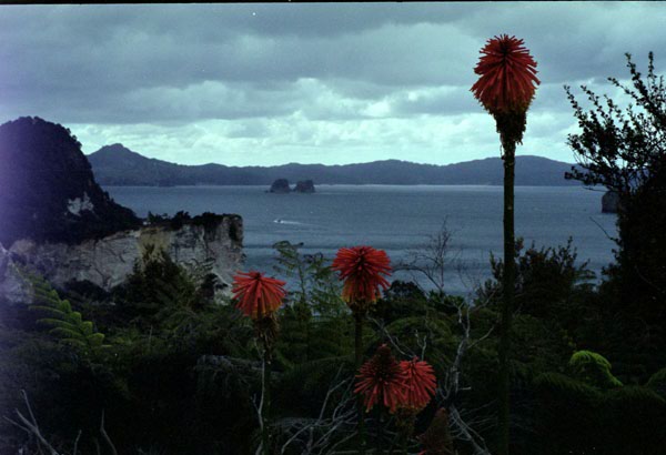 NZ-11-0014