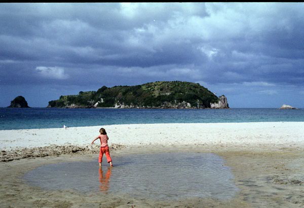 NZ-11-0015