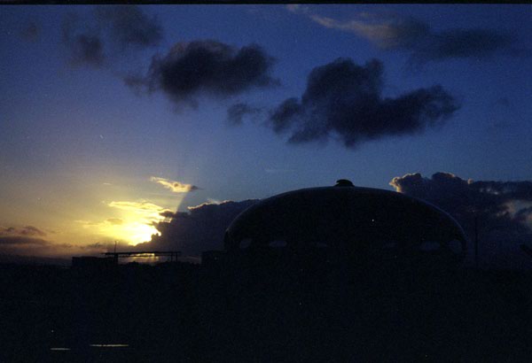 NZ-11-0019