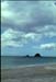 NZ-10-0029
