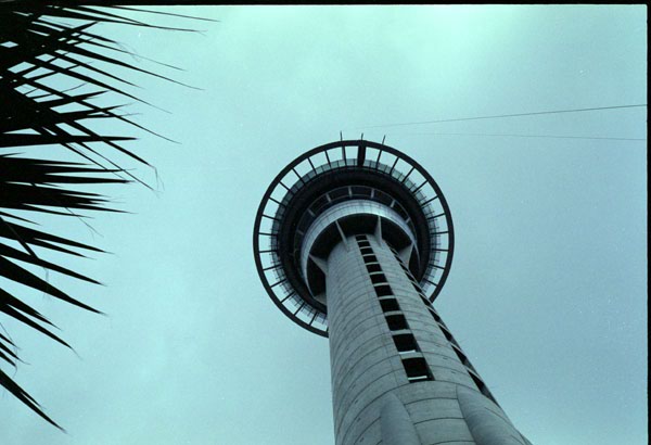 NZ-11-0024