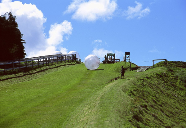 nzRoll_07-12