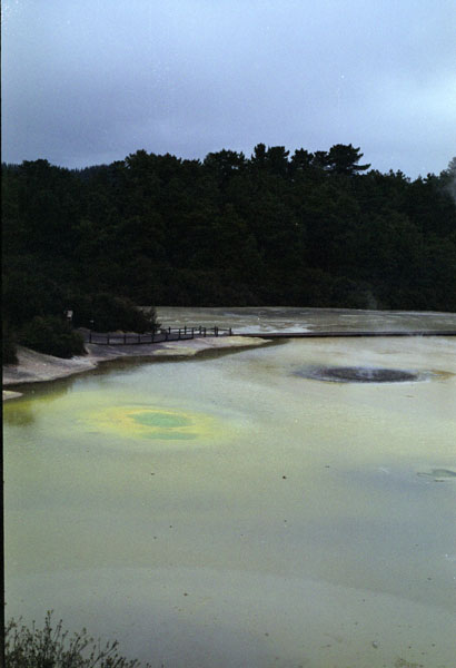 NZ-11-0034