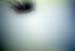 NZ-12-21-0032