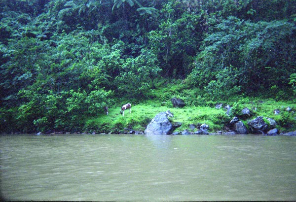 NZ-14-12-0022