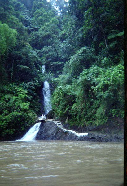 NZ-14-15-0019