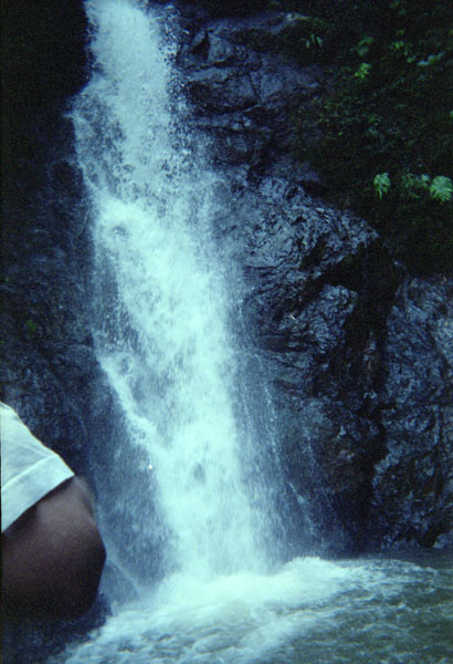 NZ-14-18-0016