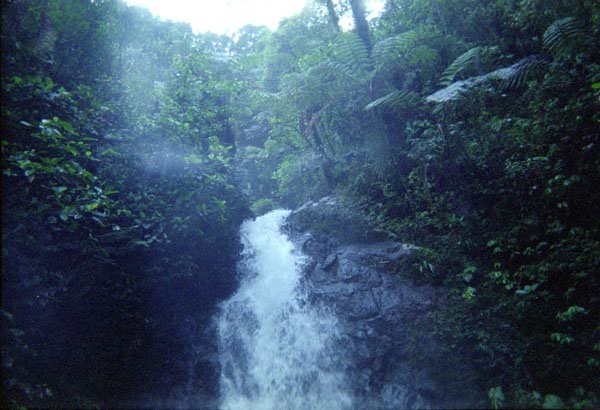 NZ-14-19-0015
