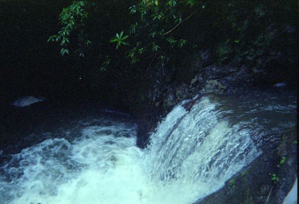 NZ-14-21-0013