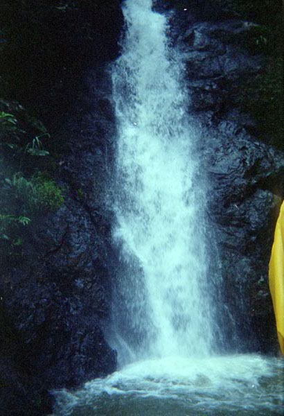 NZ-14-22-0012