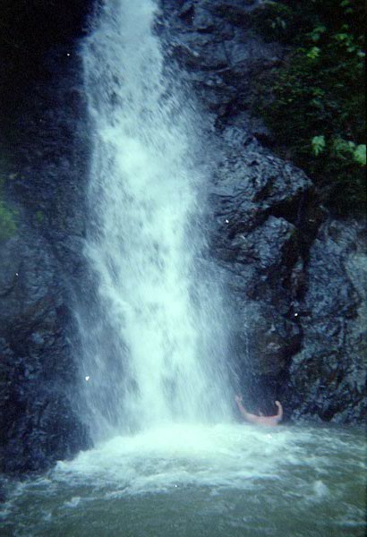 NZ-14-23-0011