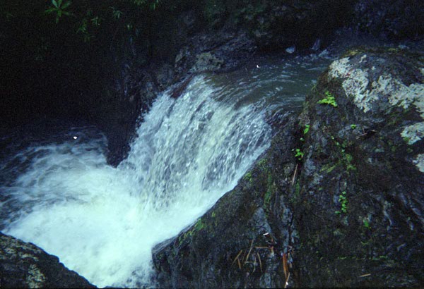 NZ-14-24-0010