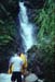 NZ-14-17-0017