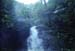 NZ-14-19-0015