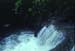 NZ-14-21-0013