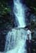 NZ-14-25-0009