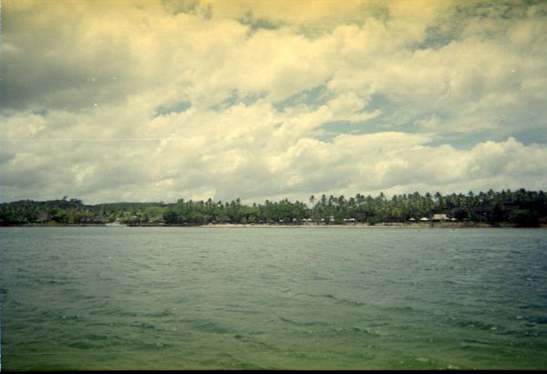 NZ-15-19-0008