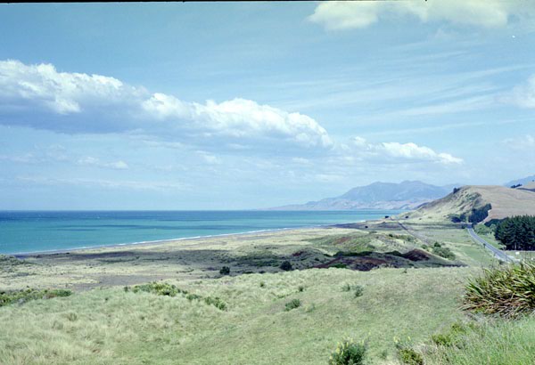 NZ-16-0001