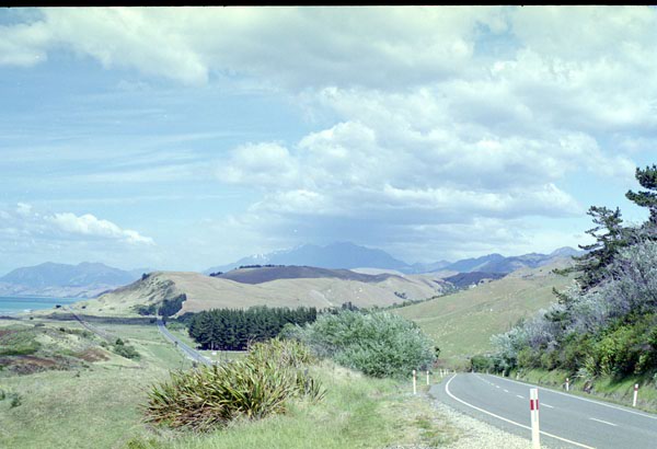 NZ-16-0002