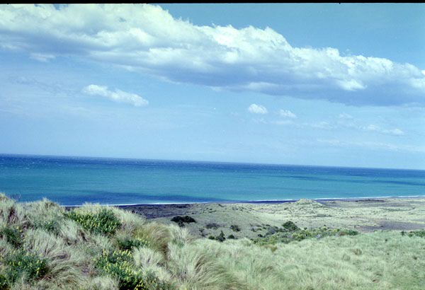 NZ-16-0003