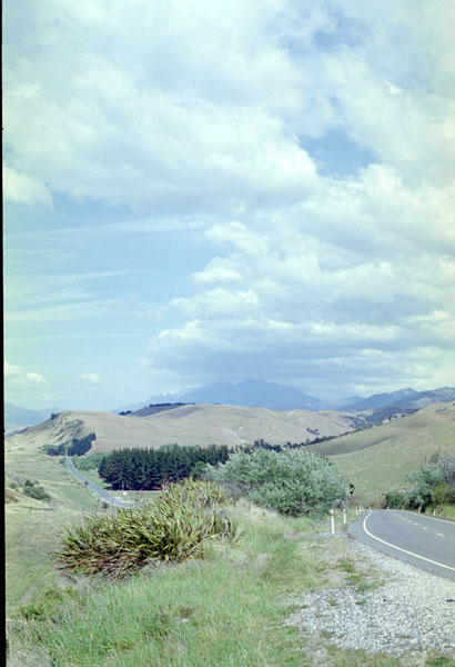 NZ-16-0005
