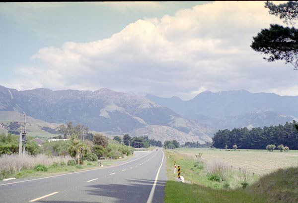 NZ-16-0008