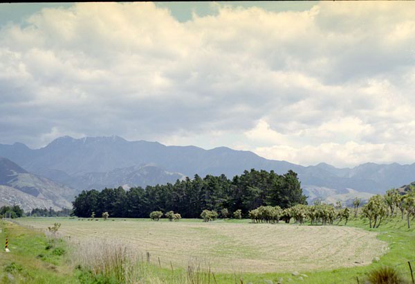 NZ-16-0009