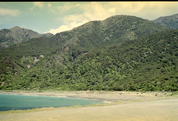NZ-16-0011