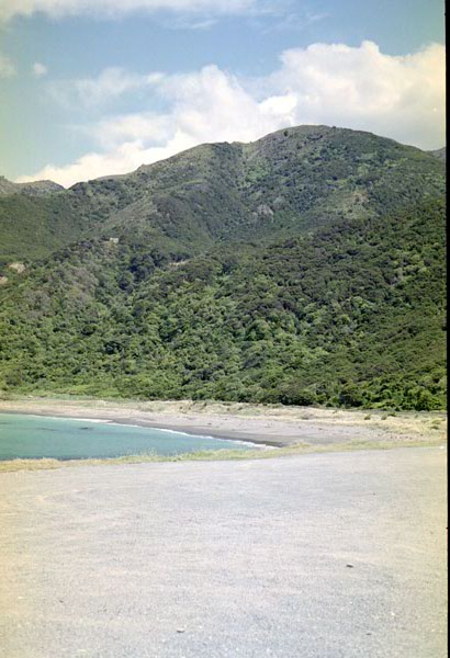 NZ-16-0012