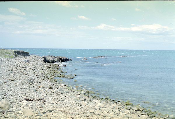 NZ-16-0013