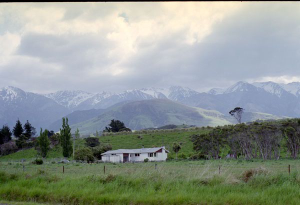 NZ-16-0016