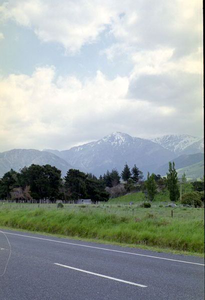 NZ-16-0017