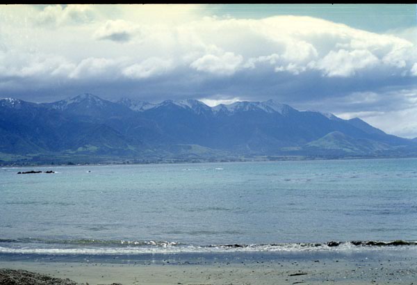 NZ-16-0018