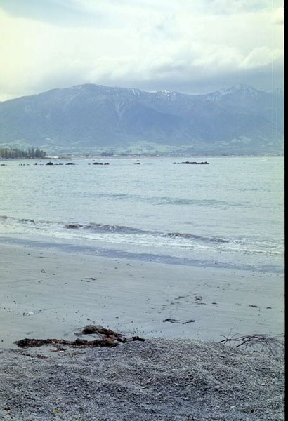NZ-16-0019