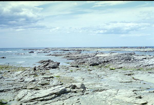 NZ-16-0023