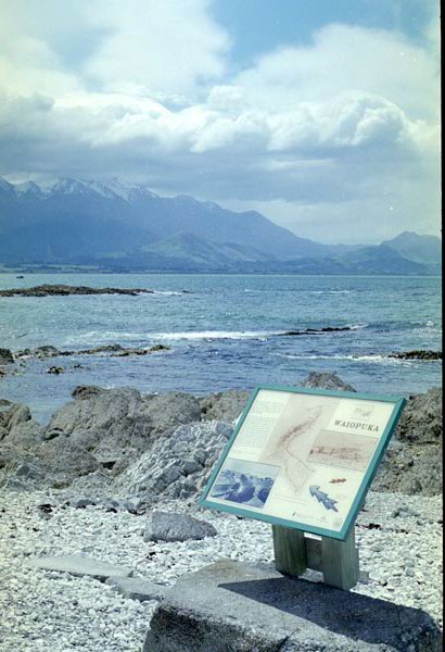 NZ-16-0024