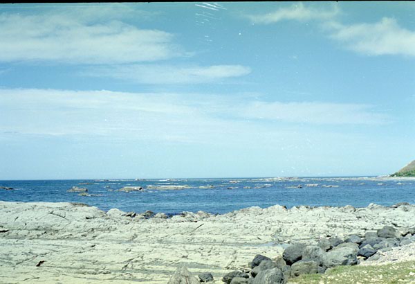 NZ-16-0025